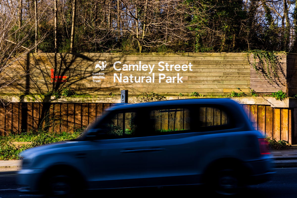 Camley Street Natural Park image